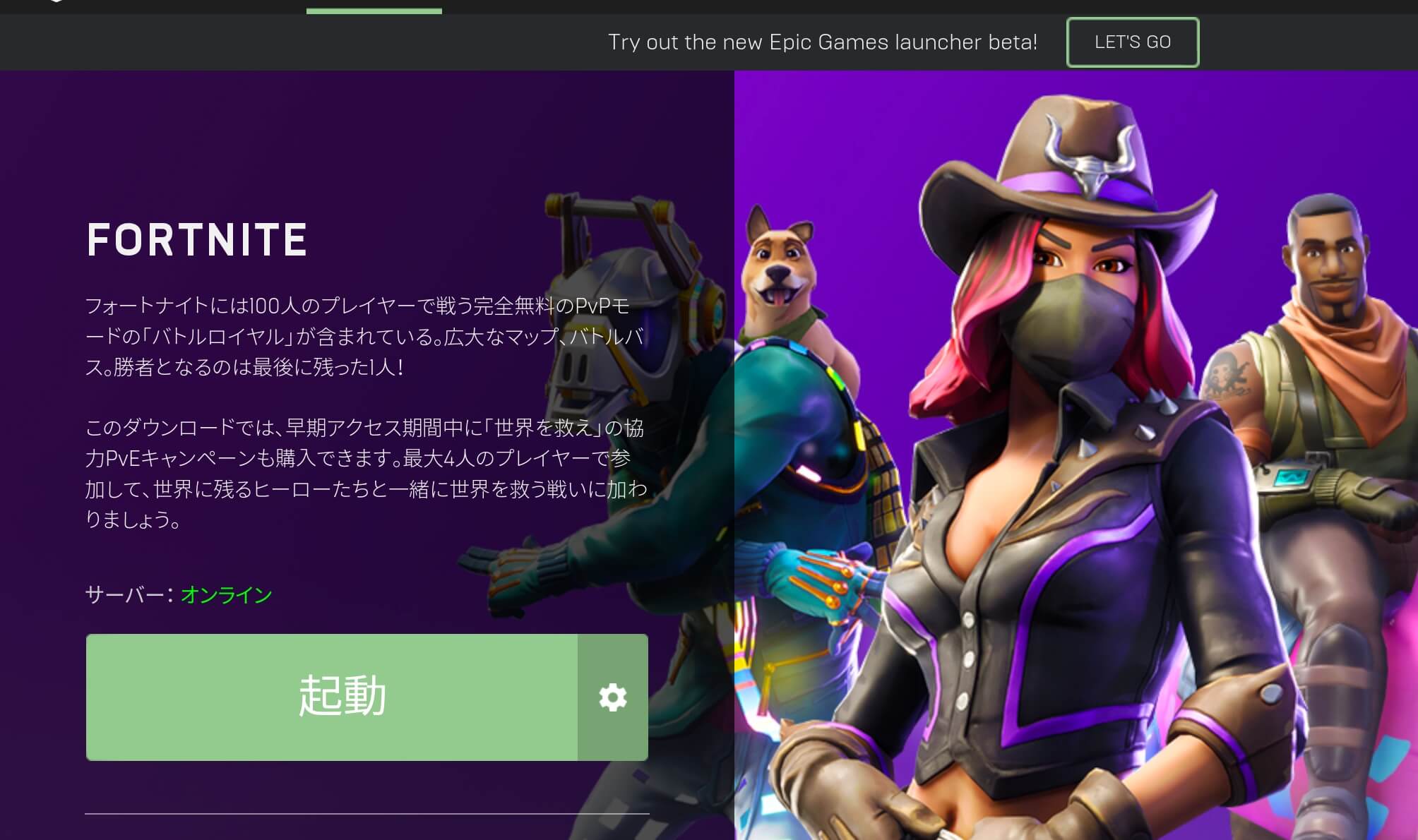 Epic Games Launcher