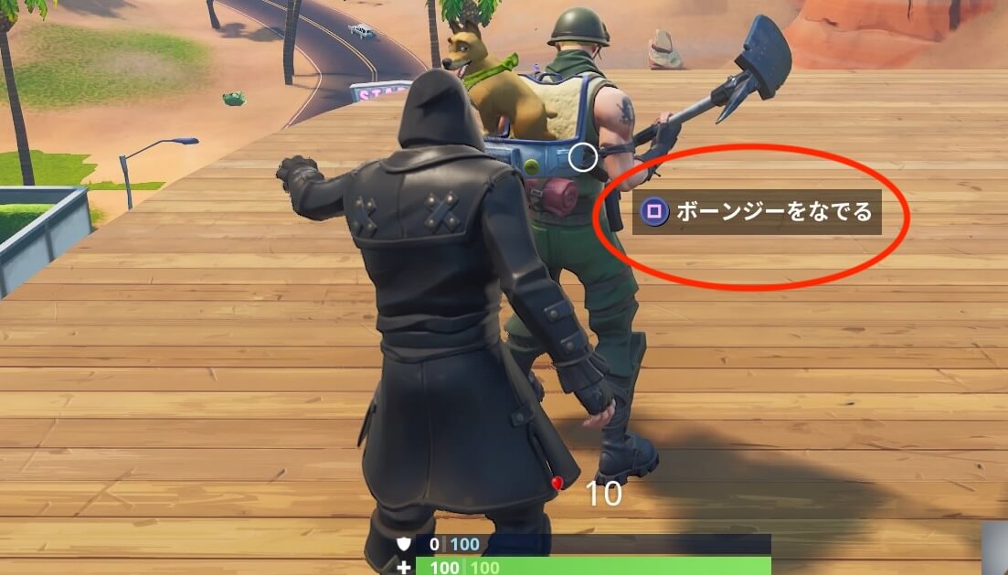 フォートナイトでペットを撫でる