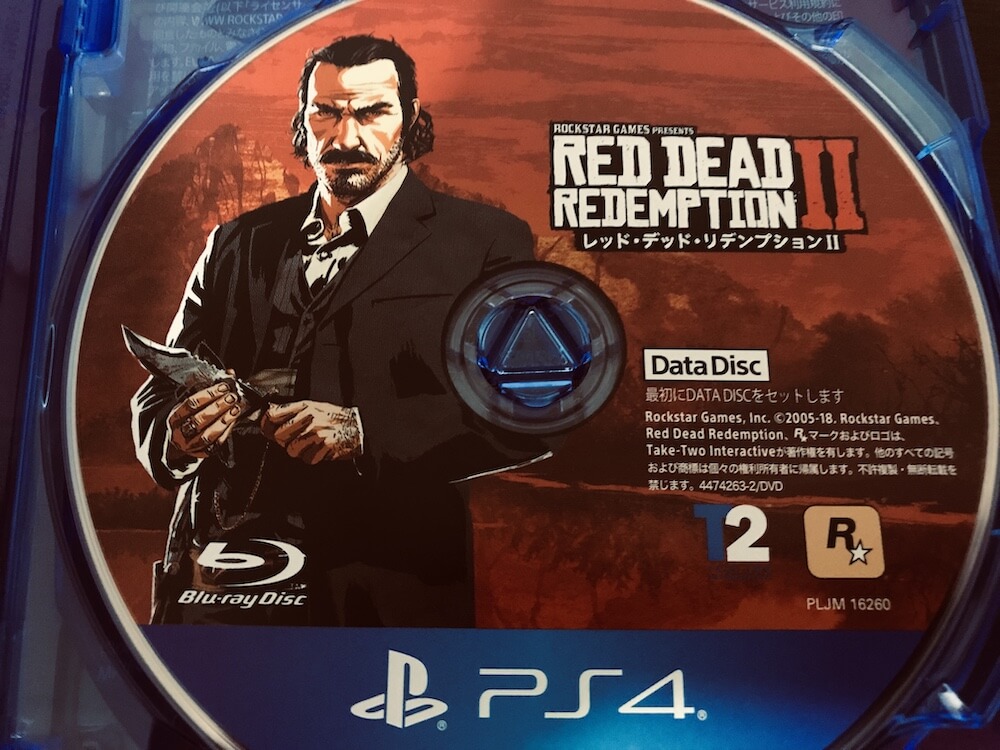 RDR2データディスク