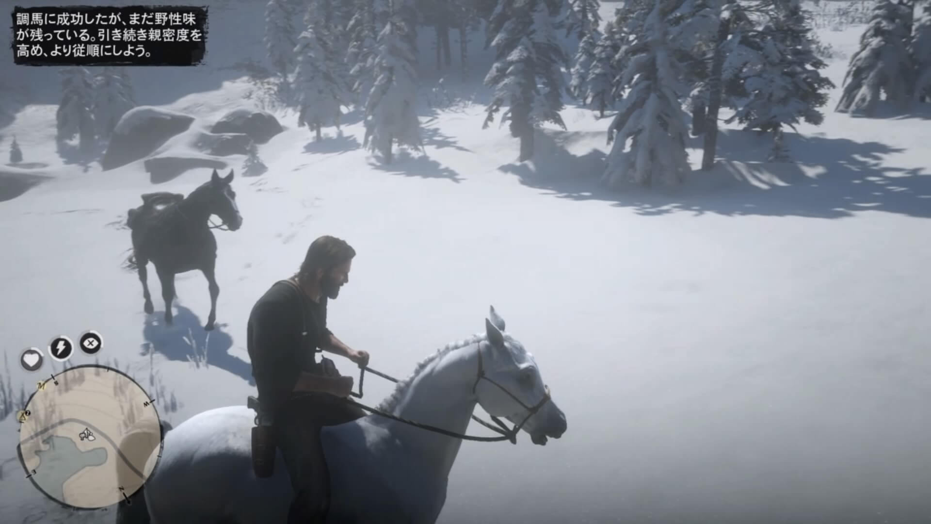 【RDR2】白馬のアラブの性別はメスで固定なのか？【最速の馬】