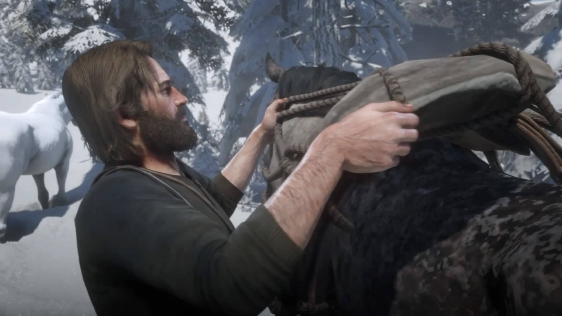 Red Dead Redemption 2