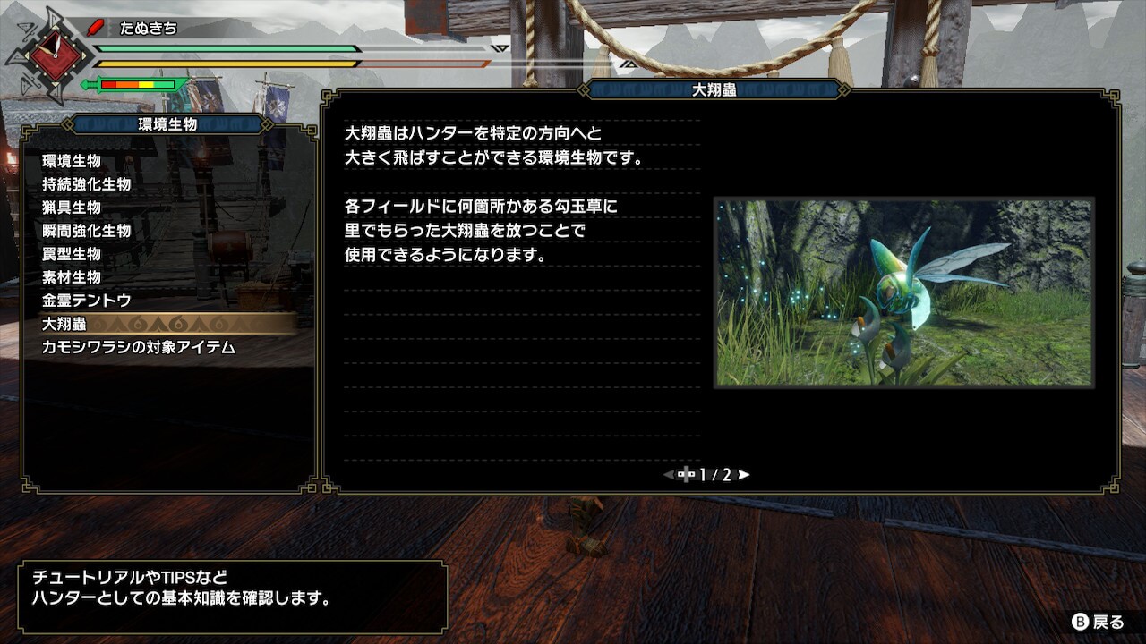 モンスターハンターライズ
