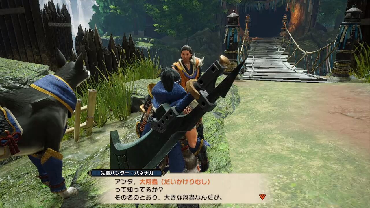 モンスターハンターライズ
