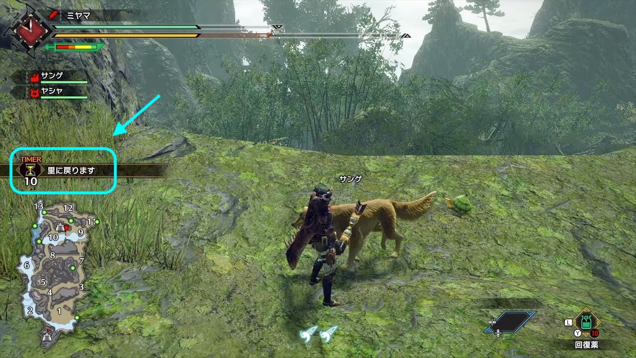 モンスターハンターライズ