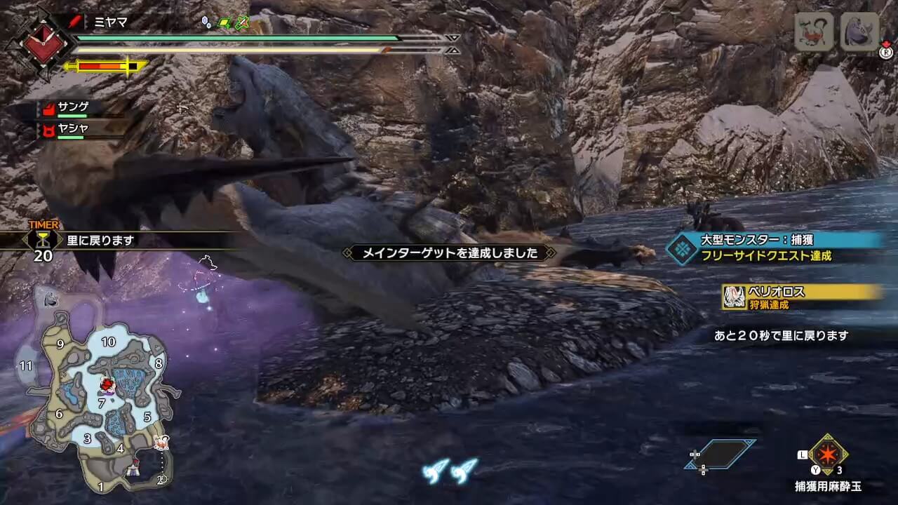 【モンハンライズ】モンスターを捕獲する方法