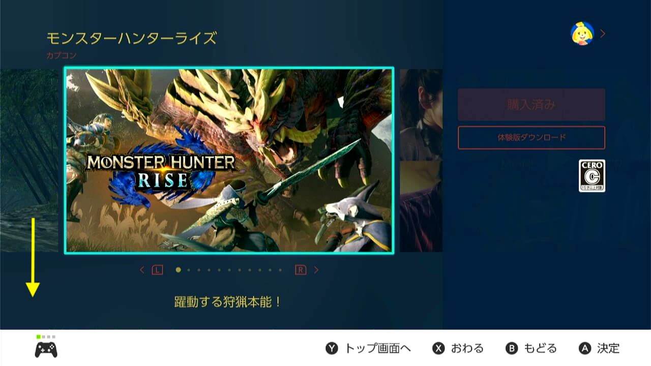 モンスターハンターライズ