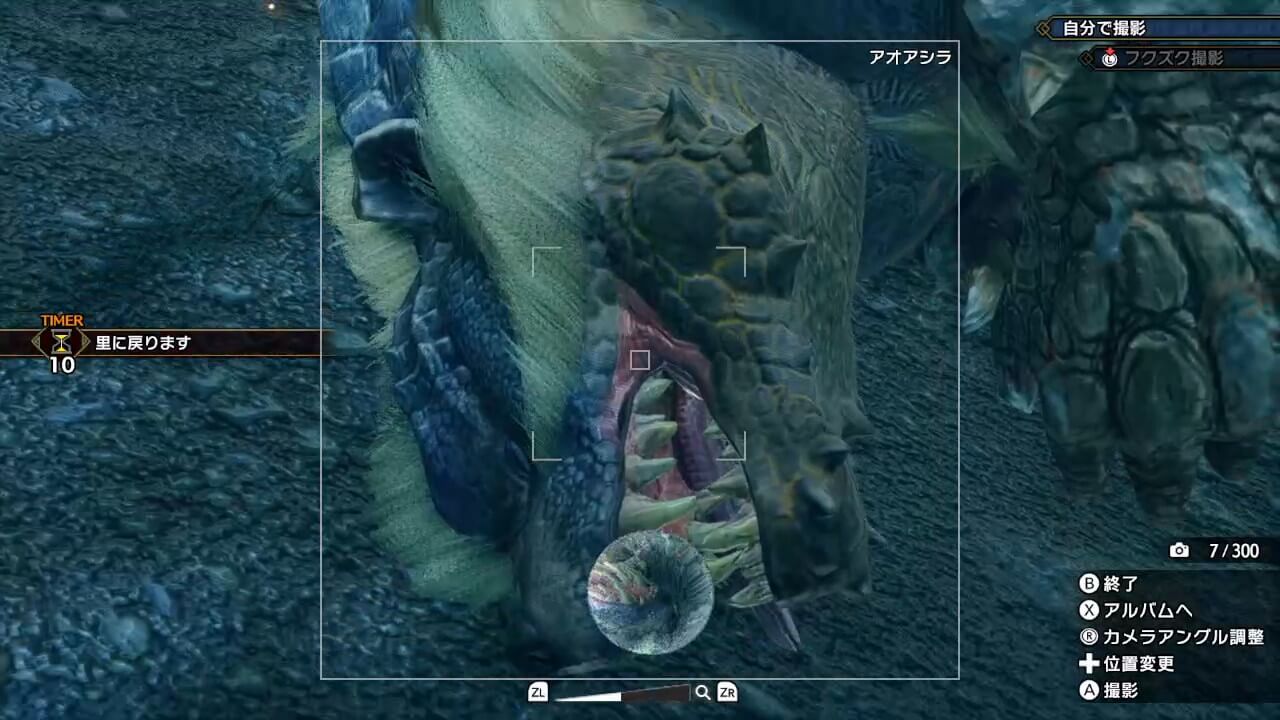 モンスターハンターライズ