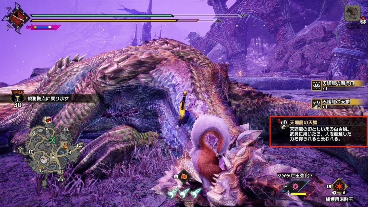 モンハンライズサンブレイク