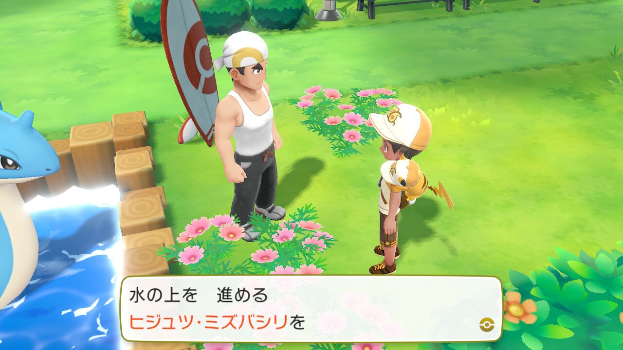 ヒジュツ・ミズバシリを教えてくれる人