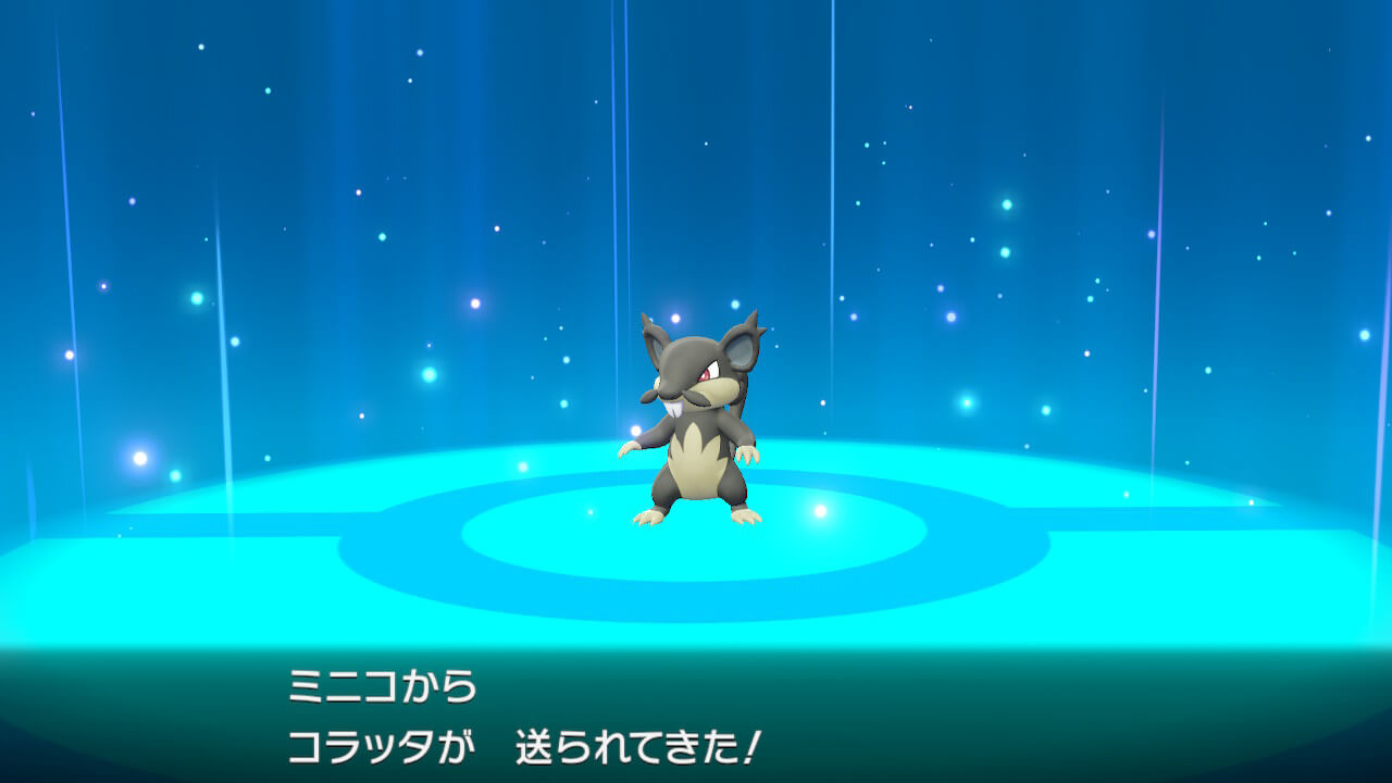 ポケモンレッツゴーのアローラ地方のコラッタ