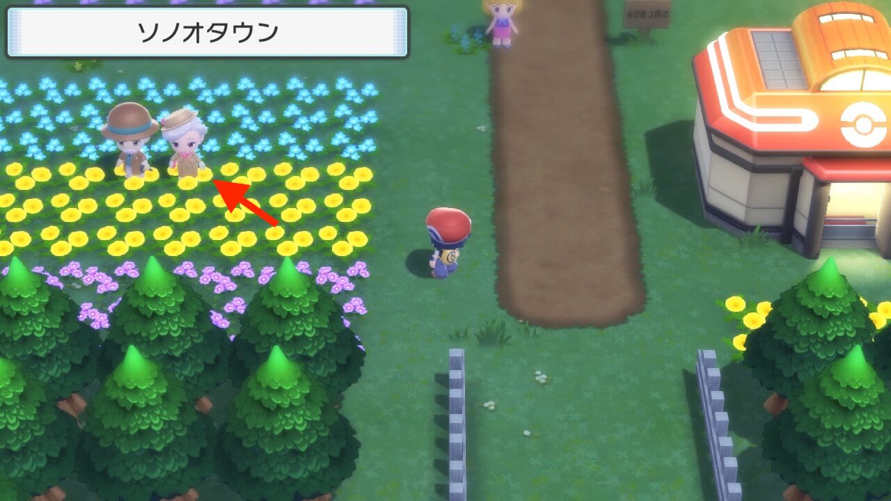 ポケットモンスターブリリアントダイヤモンド・シャイニングパール