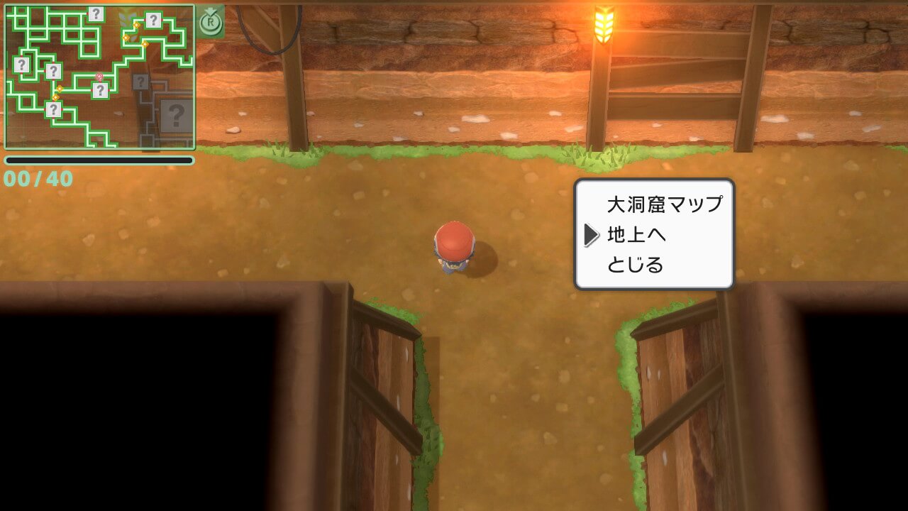 ポケットモンスターブリリアントダイヤモンド・シャイニングパール