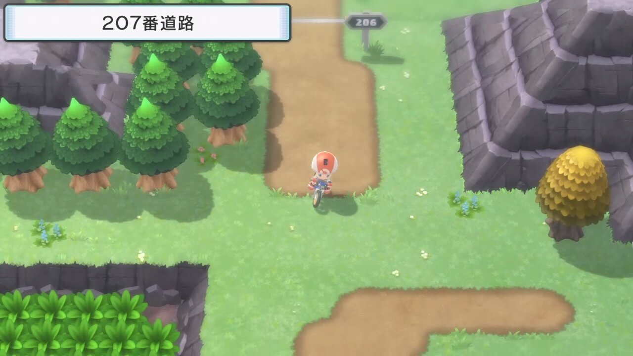ポケットモンスターブリリアントダイヤモンド・シャイニングパール