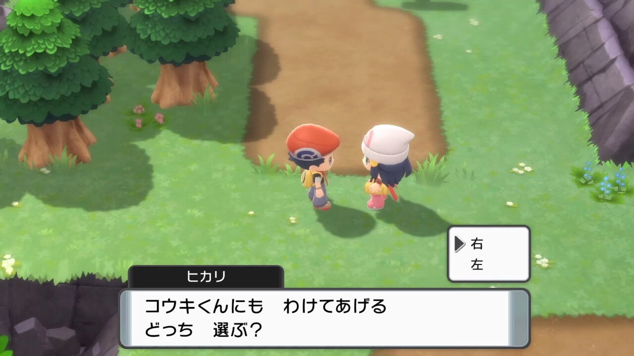 ポケットモンスターブリリアントダイヤモンド・シャイニングパール
