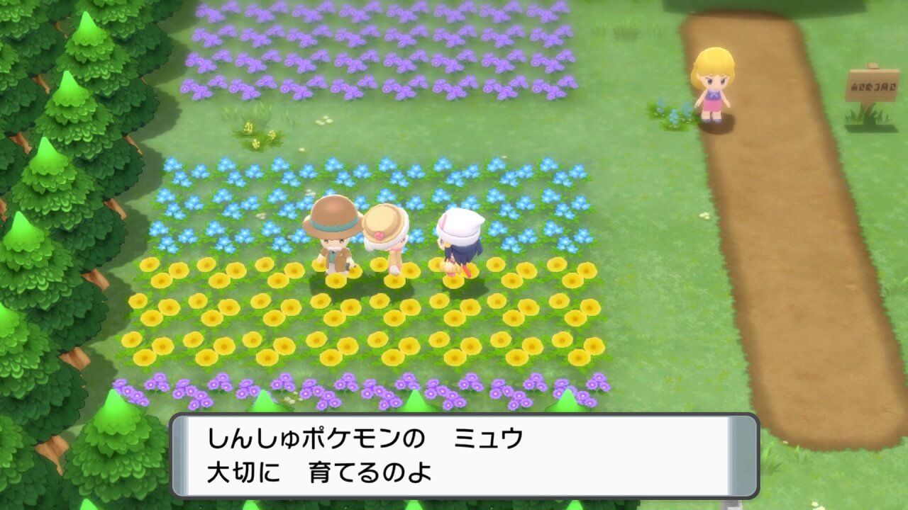 ポケットモンスターブリリアントダイヤモンド・シャイニングパール