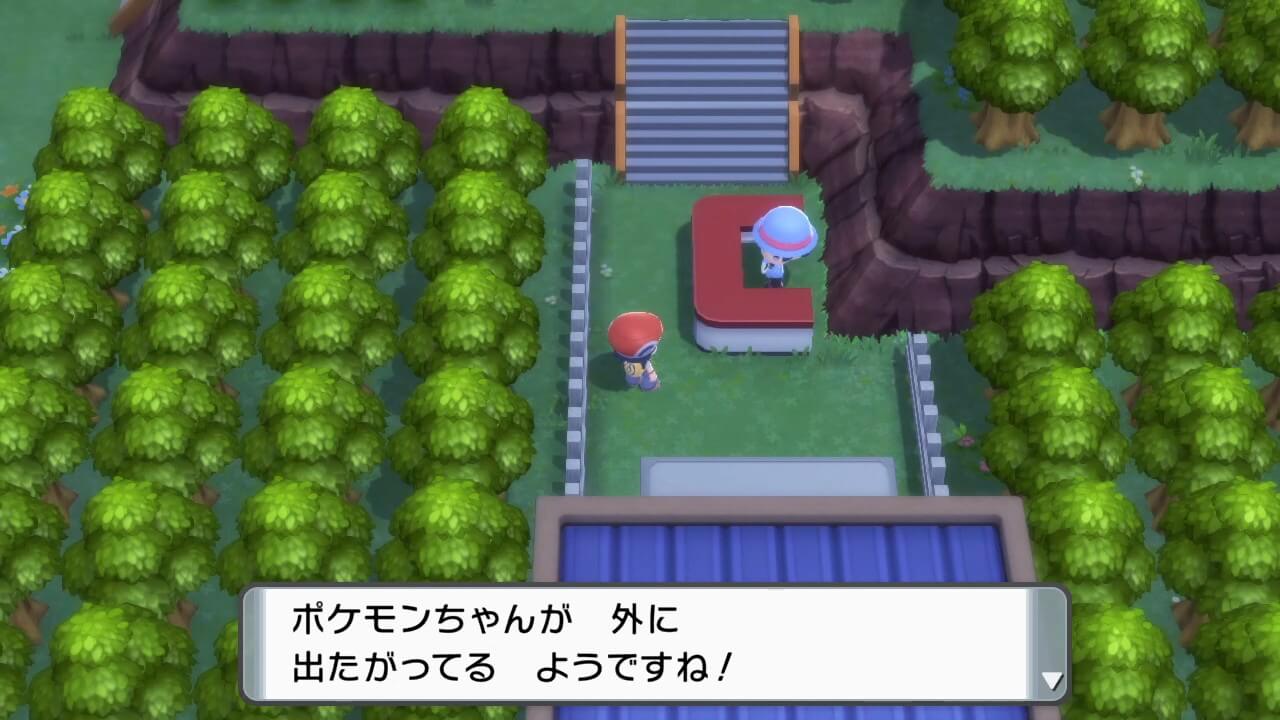 ポケットモンスターブリリアントダイヤモンド・シャイニングパール