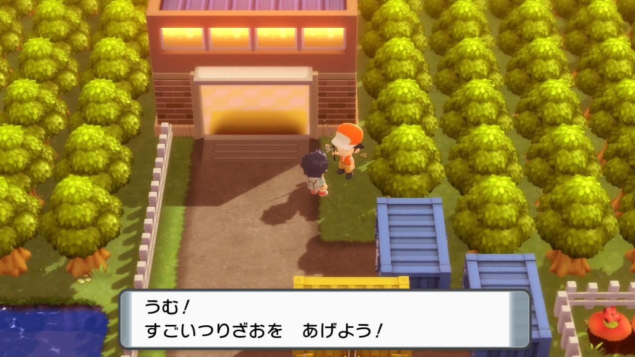 【ポケモンダイパリメイク】すごいつりざおをくれるNPCに話しかける方法【225番道路の看板の横を通る方法】