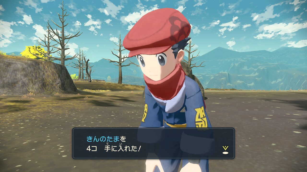 【ポケモンレジェンズアルセウス】きんのたまの入手方法と使いみちについて