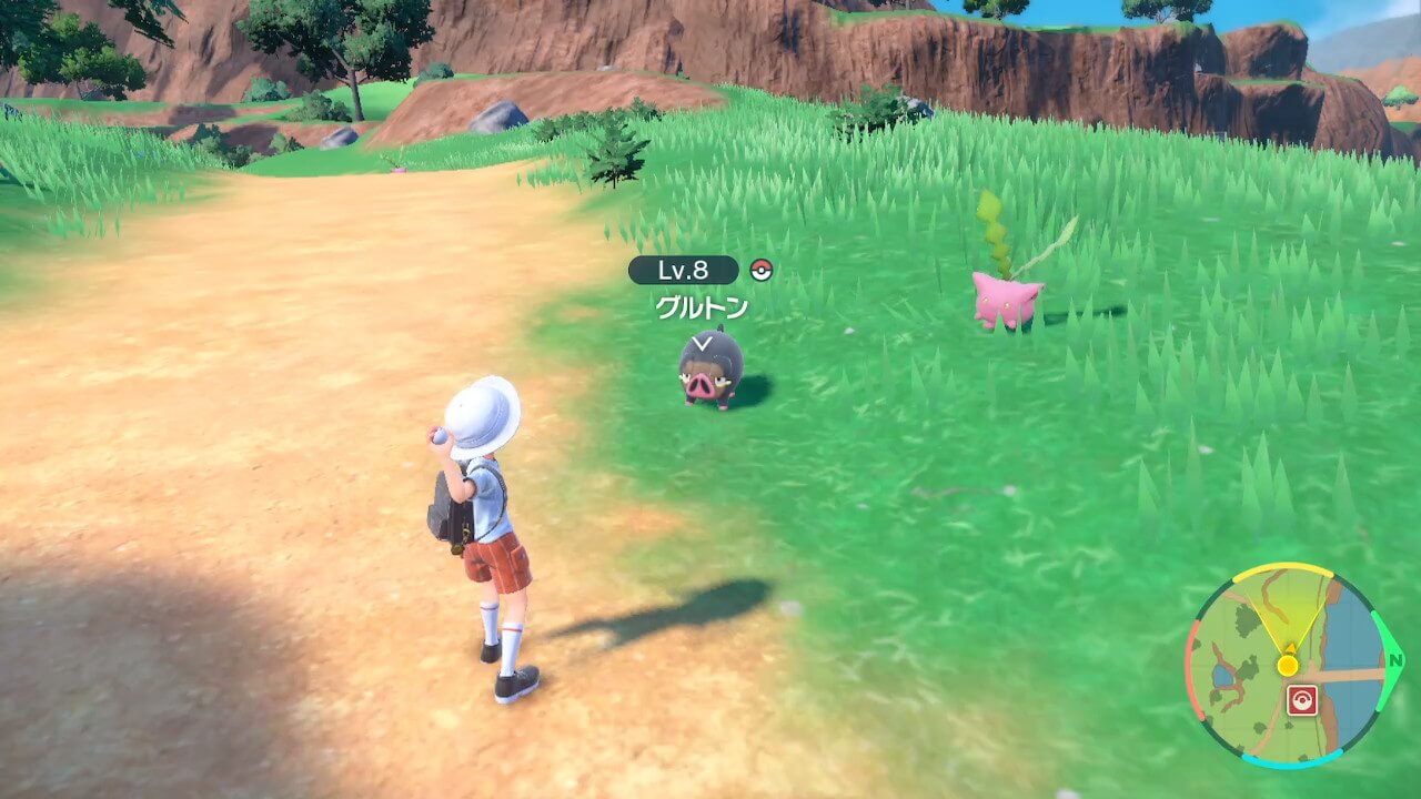 ポケモンスカーレットバイオレット
