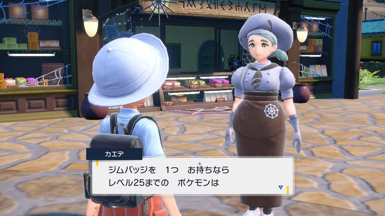 【ポケモンSV】持っているジムバッジを確認する方法