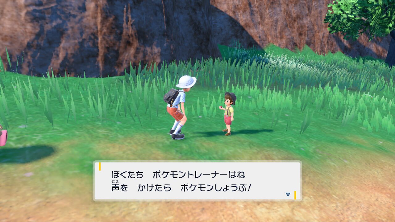 ポケモンスカーレットバイオレット