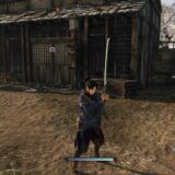 Rise of the Ronin