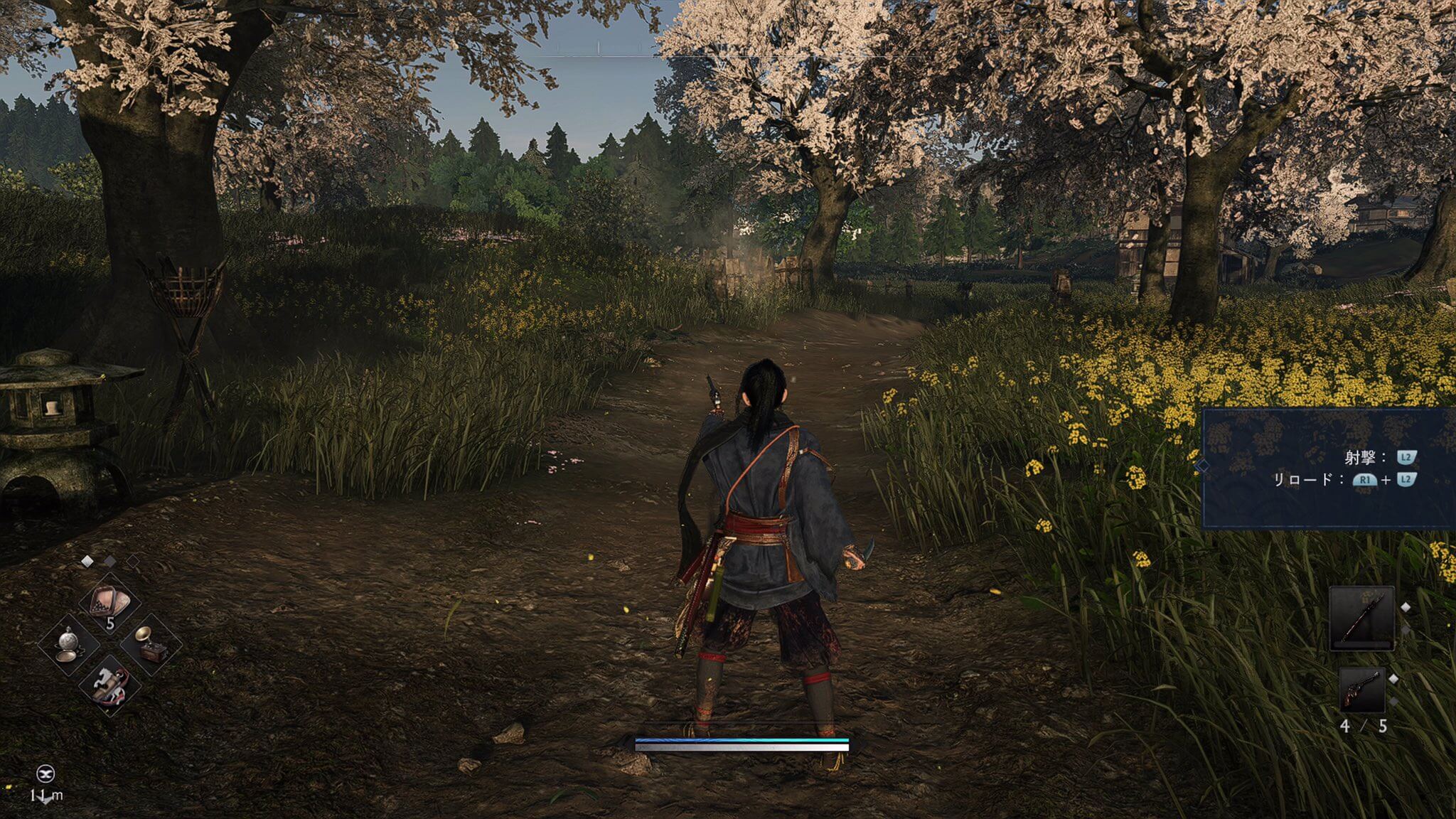 Rise of the Ronin
