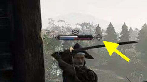 Rise of the Ronin