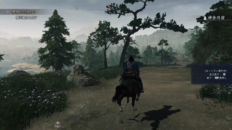 Rise of the Ronin