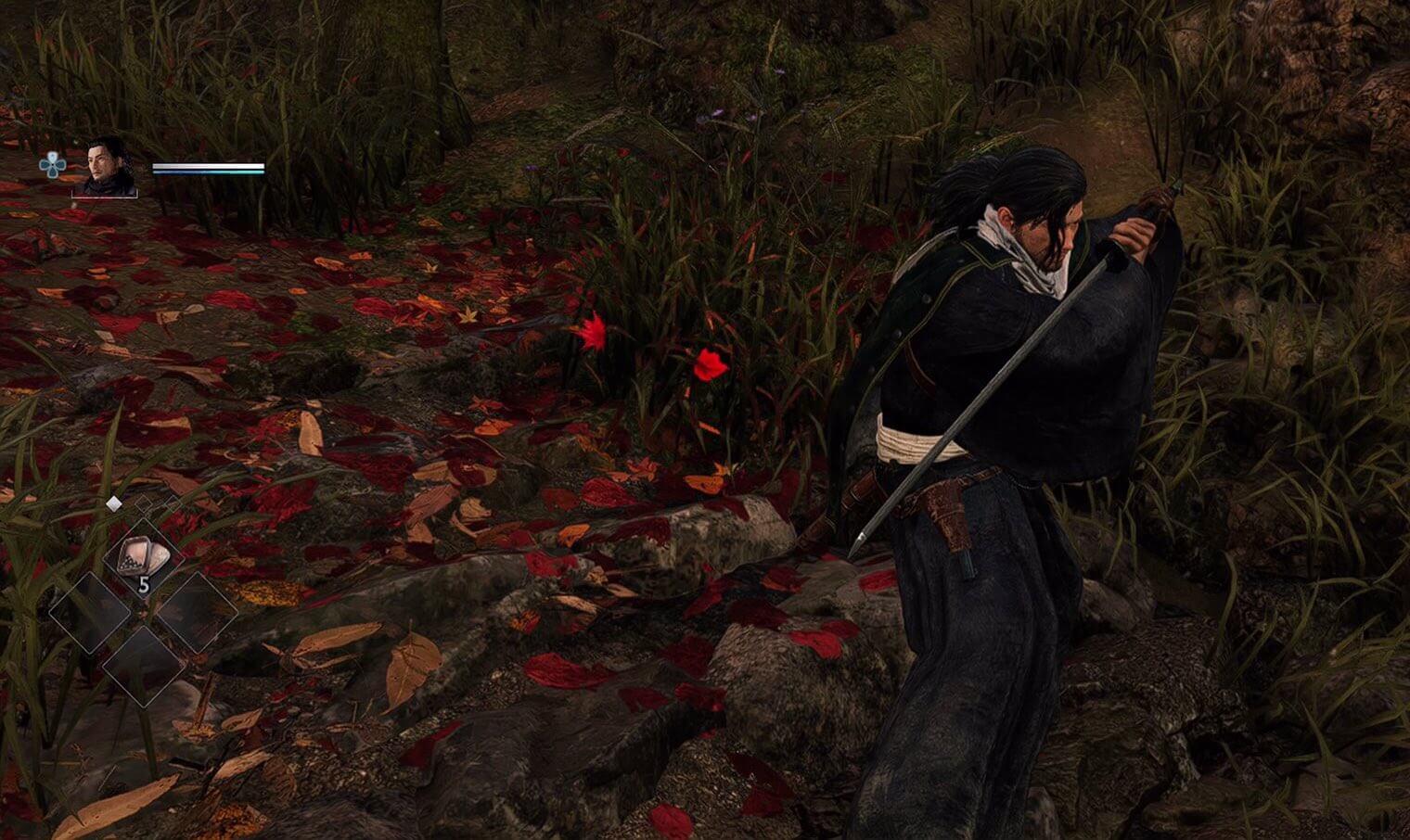 Rise of the Ronin