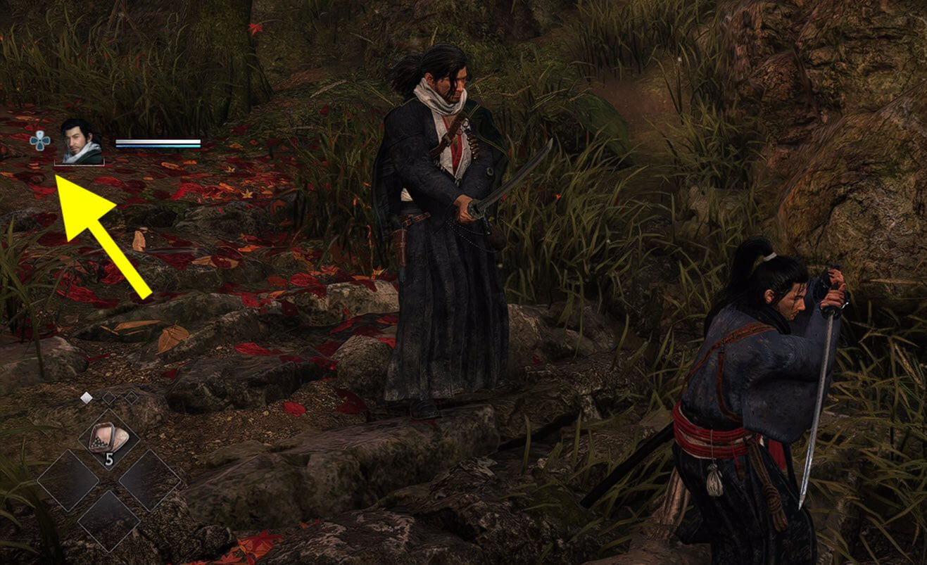 Rise of the Ronin