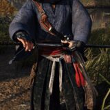 Rise of the Ronin