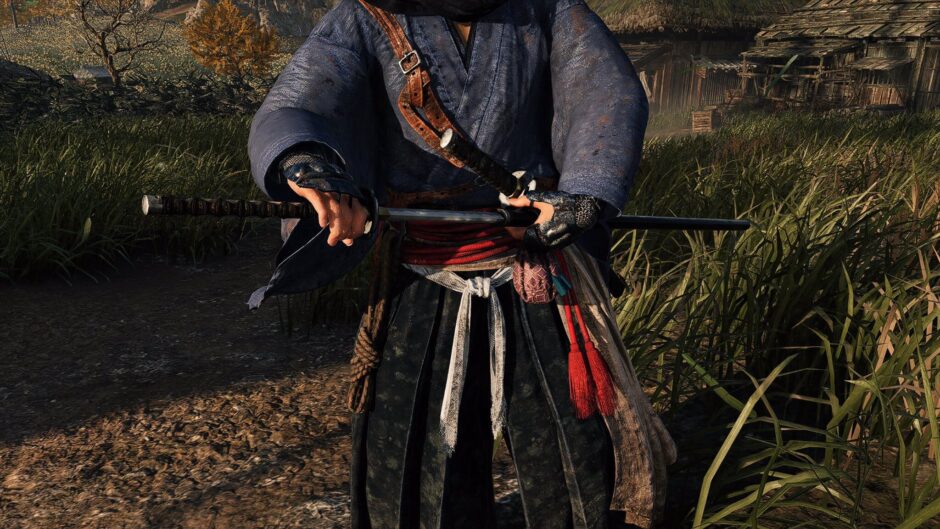 Rise of the Ronin