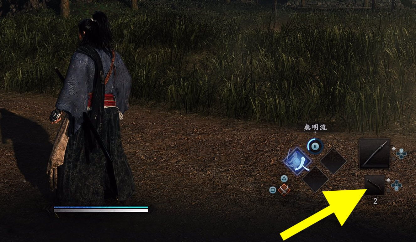 Rise of the Ronin