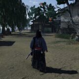 Rise of the Ronin