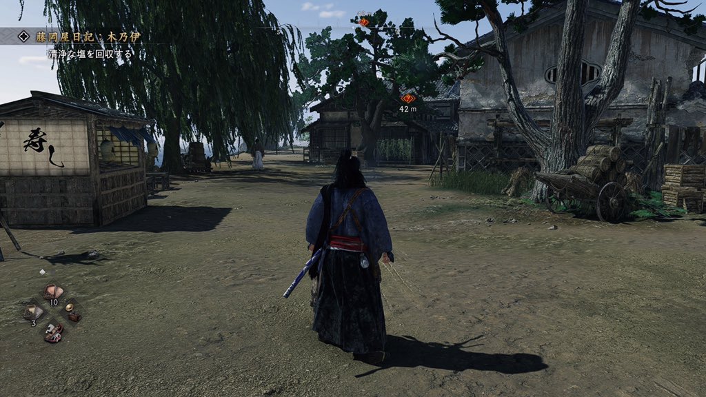 Rise of the Ronin