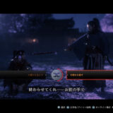 Rise of the Ronin
