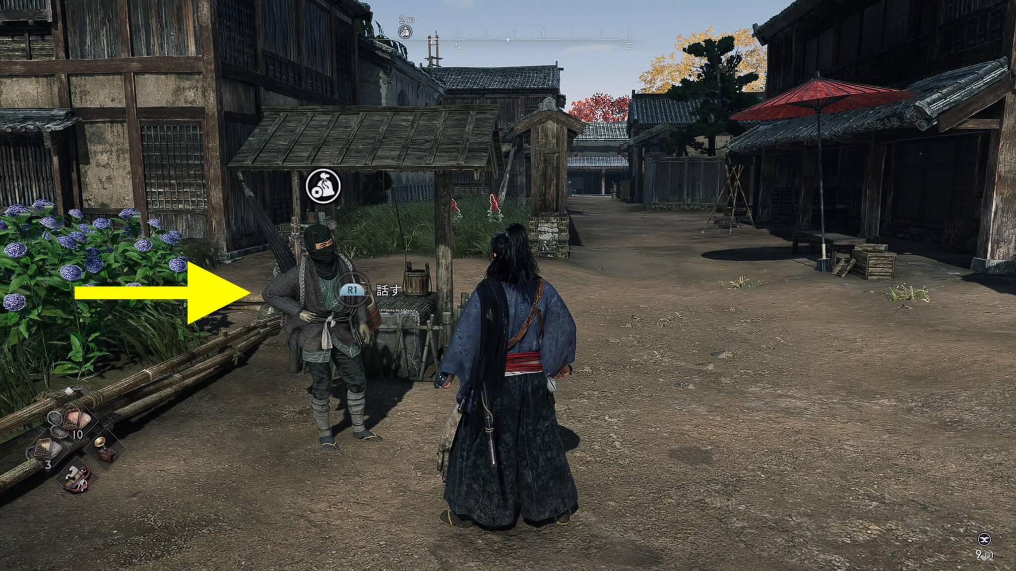 Rise of the Ronin