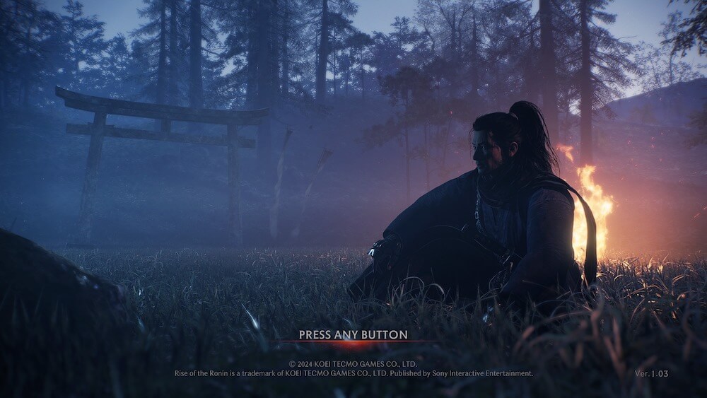 Rise of the Ronin