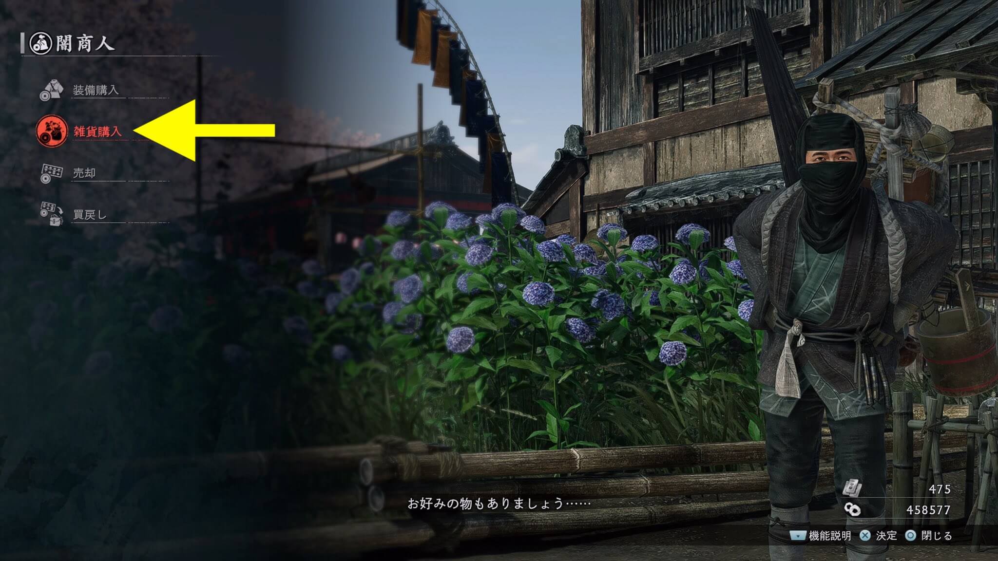Rise of the Ronin
