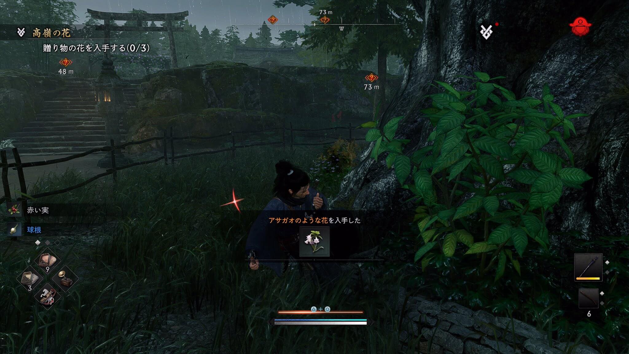 Rise of the Ronin