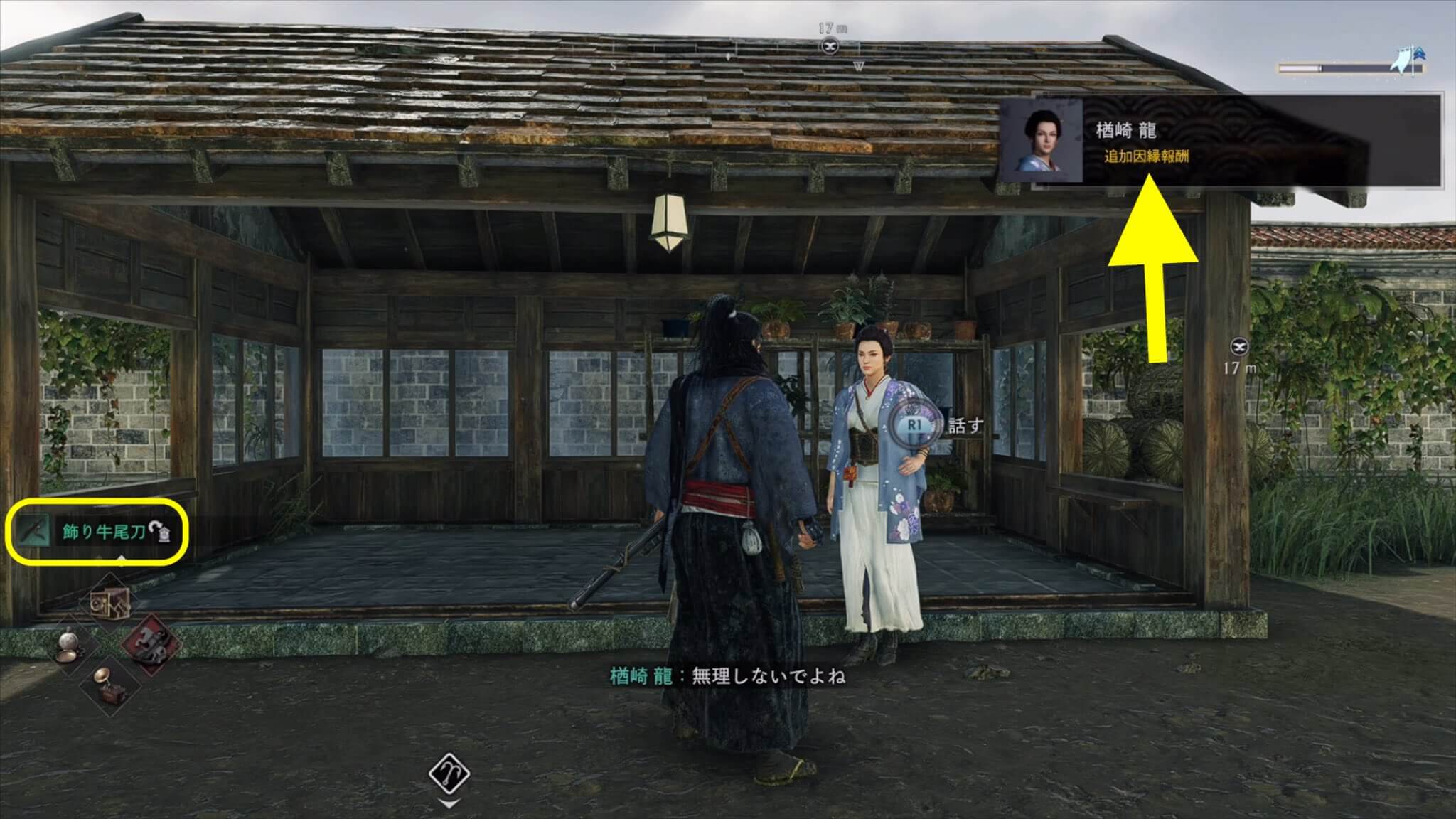 Rise of the Ronin