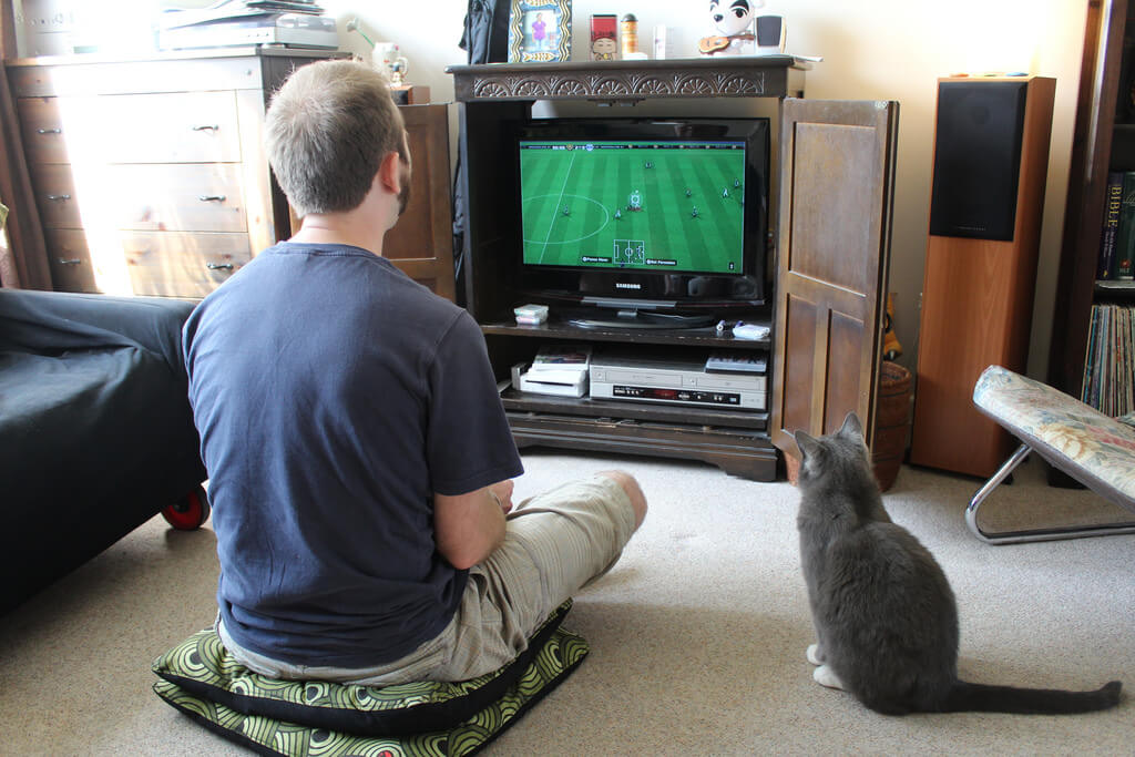 ゲームをしてる男性と猫