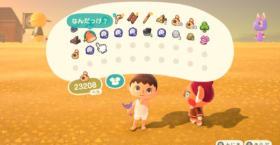 【あつ森】なんだっけ?の捨て方