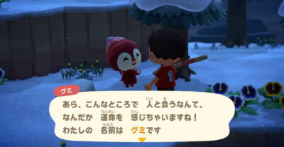 【あつ森】グミが離島に出現した時間帯をメモしておきます