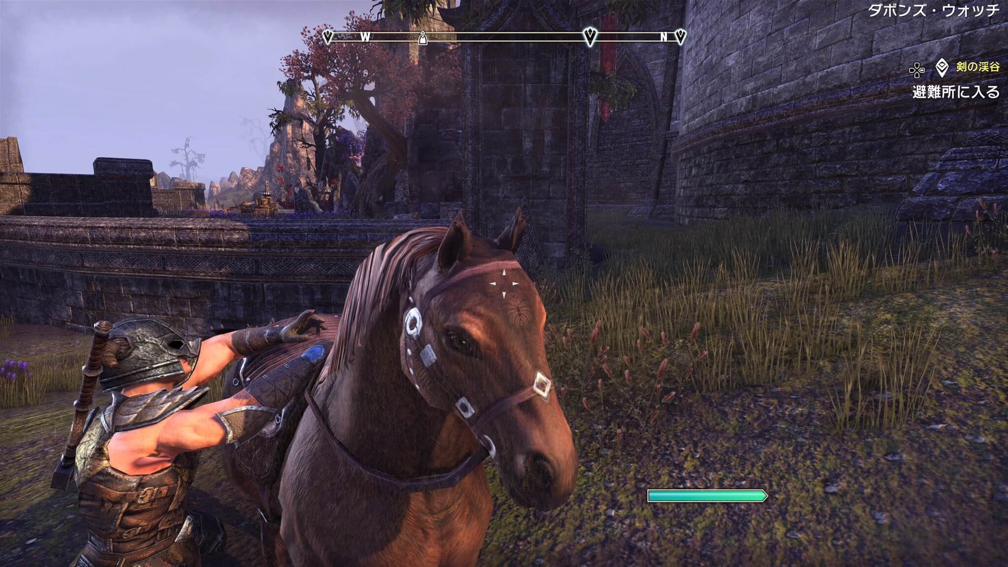 【ESO】PS5版で馬に乗る方法【馬の乗り方】