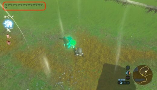 【ゼルダBotW】ミファーの祈りの使い方【ブレワイ】