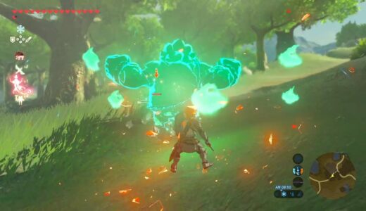 【ゼルダBotW】ダルケルの護りの使い方【ブレワイ】