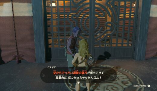 【ティアキン】オルディン峡谷の鳥望台の入り方【ゼルダの伝説ティアーズオブザキングダム】