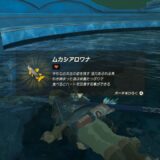 ゼルダTotk